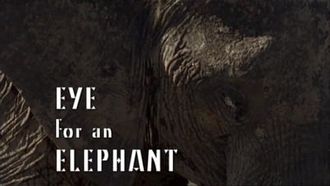 Episode 3 Eye for an Elephant
