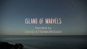 Episode 1 Island of Marvels