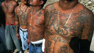Episode 1 The Myth of MS-13