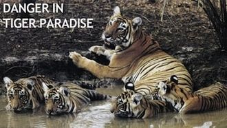 Episode 2 Danger in Tiger Paradise