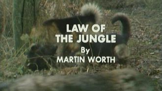 Episode 3 Law of the Jungle