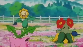 Episode 21 Popocco! Grass Pokémon Battle!!