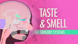 Episode 16 Sensory Systems: Taste & Smell