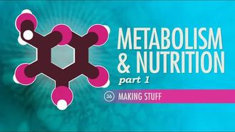 Episode 36 Metabolism & Nutrition Part 1: Making Stuff