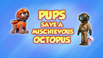 Episode 39 Pups Save a Mischievous Octopus