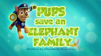 Episode 29 Pups Save an Elephant Family