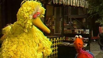 Episode 14 Big Bird wants to fly