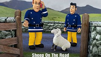 Episode 20 Sheep on the Road