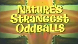 Episode 21 Nature's Strangest Oddballs
