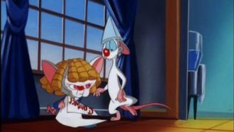 Episode 32 Whatever Happened to Baby Brain/Just Say Narf
