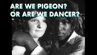 Episode 6 Are We Pigeon? Or are We Dancer