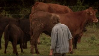 Episode 8 Raging Bulls