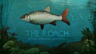 Episode 4 Roach on the Wensum
