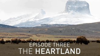 Episode 3 The Heartland