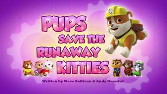 Episode 18 Pups Save a City Kitty/Pups Save a Cloud Surfer