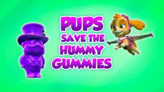 Episode 41 Pups Save a Lonesome Walrus/Pups Save the Hummy Gummies