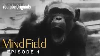 Episode 1 The Cognitive Tradeoff Hypothesis