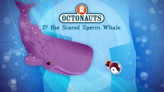 Episode 10 The Scared Sperm Whale