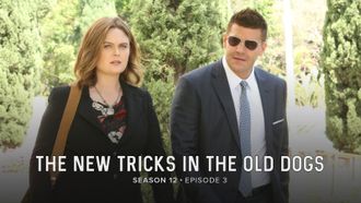 Episode 3 The New Tricks in the Old Dogs
