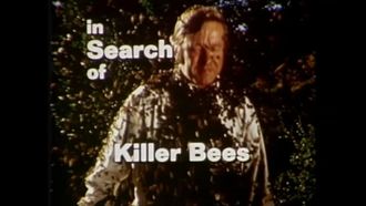 Episode 6 Killer Bees