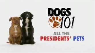 Episode 9 All the Presidents' Pets