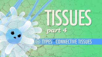 Episode 5 Tissues Part 4: Types of Connective Tissues