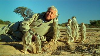 Episode 6 Attenborough's Life Stories: Understanding the Natural World