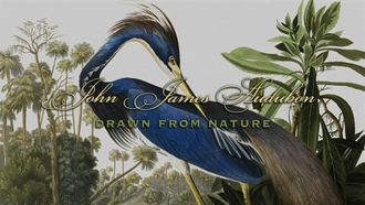 Episode 5 John James Audubon: Drawn from Nature
