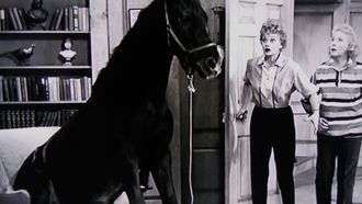 Episode 4 Lucy Wins a Race Horse