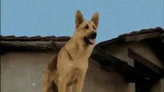 Episode 4 Rin Tin Tin and the Raging River