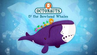 Episode 6 The Bowhead Whales
