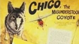 Episode 4 Chico, the Misunderstood Coyote