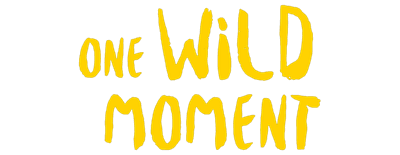 One Wild Moment logo