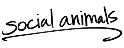 Social Animals logo