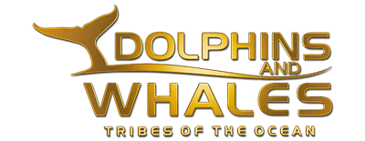 Dolphins and Whales 3D: Tribes of the Ocean logo