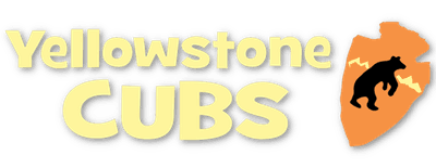 Yellowstone Cubs logo
