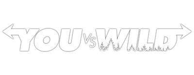 You vs. Wild logo
