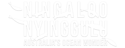 Ningaloo Nyinggulu logo