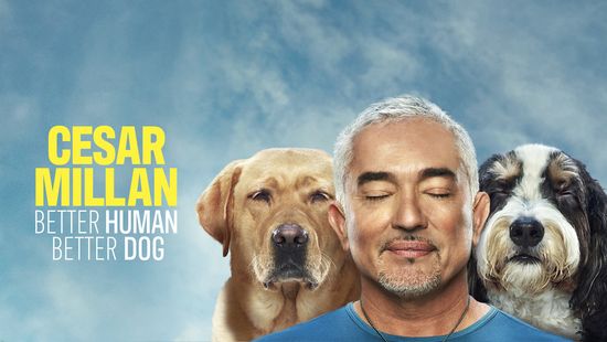 Cesar Millan: Better Human Better Dog - Season 4 Episode 5