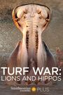 Turf War: Lions and Hippos