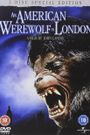 An American Werewolf in London: I Walked with a Werewolf