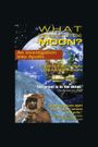 What Happened on the Moon? - An Investigation Into Apollo