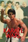 Karate Wars