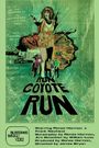 Run Coyote Run