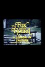 The Fox and the Hound: A Lesson in Caution