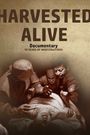 Harvested Alive - 10 Years of Investigation