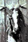 Slipknot: Goat - The 10th Anniversary of Iowa
