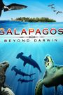 Galapagos: Beyond Darwin