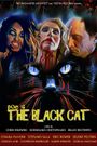 POE 4: The Black Cat