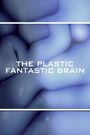 The Plastic Fantastic Brain